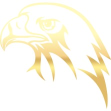 Kartal Kafası Sticker 17X17 cm Gold