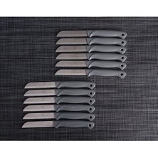 TeknoTrust Parlak gri 12'li meyve bıçakları seti, şık ve dayanıklı tasarım