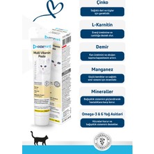 Onevet Kedi Multi Vitamin Paste Malt Macun 100 Gr.