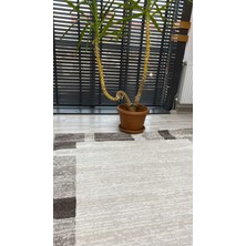 Modern Desenli Fildişi Kahverengi Halı 160*220