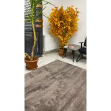 Düz Halı Vizon 200*290