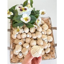 Rattan Kulp (2ADET)