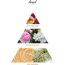 Jaquel Angel Kadın Parfümü 100ml