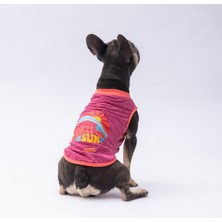 Vişnerengi The Sun Kedi Köpek Tişörtü - Kedi Köpek Kıyafeti