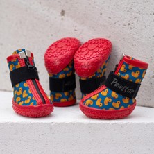 Ducks Desenli Köpek Ayakkabısı-Köpek Patiği