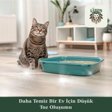Lixon Natural %100 Doğal Çam Peleti Kedi Kumu 10 kg (20L) Hipoalerjenik - Yavru/yetişkin Kediler ve Kemirgen Hayvanlar Için Biyobozunur - Astımlı Kediler Için Uygun - Yüksek Emiş Gücü - 5 kg x 2 Adet