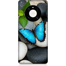 Huawei Mate 40 Pro Uyumlu Mavilikte Taş Üzerinde Kelebek  Desenli Silikon Kılıf
