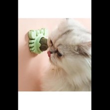 Kapamarka Yengeç Kedi Otu Oyun Topu