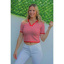 Polo Yaka Çizgili Tişört Kırmızı - 140.055