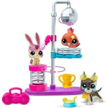 6377 Sun- Littlest Petshop Minişler  Dısco Night  Oyun Seti