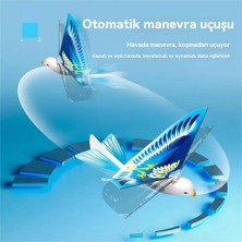 Huisheng Çocuk Açık Uçan Kuş Simülasyonu Kanatlı Kuş Uçan Oyuncak (Yurt Dışından)