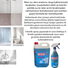 Segü Sihirli Mavi Su/ Derz Arası Temizleyici 5 Litre+ 1 Litre Sprey