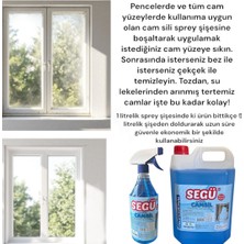 Segü Parfümlü Camsil/ Oto Cam Suyu 5 Litre+ 1 Litre Sprey