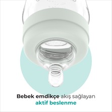 Mamajoo Gece & Gündüz Biberonu 270 ml & Anti-Kolik Biberon Emziği No:2 / M