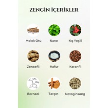 Now International Soğuk Terapi Transdermal Bant – 48 Adet