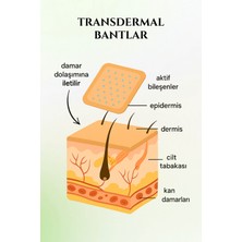 Now International Soğuk Terapi Transdermal Bant – 48 Adet