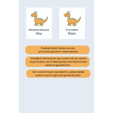 Nami Baby Organics Müslin Bebek Battaniye Seti - Müslin Sırt Bezi Mendil Set ve Keçi Kılı Fırça