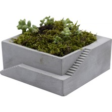 Mimari Tarz Beton Sukulent Saksısı