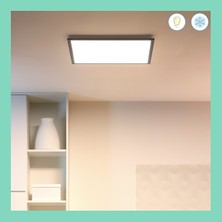 Wiz Siyah Akıllı Sıva Üstü Sarı-Beyaz Ambiyans Kare Panel Tavan Armatürü 36W