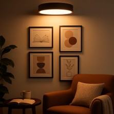 Laaysa 3D Dekoratif Banyo Duvar Ayna Tablo Aydınlatması