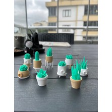 Minyatür Sukulent Dekoratif Obje