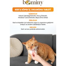 Bitkisel Kedi ve Köpek Parazit Iç Organizma Tableti 4 Adet Tablet
