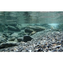 Kanki Pet KP7045031 Akvaryum Arka Fon Yapıştırma