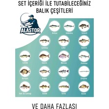 Mükemmel Deniz ve Göl Olta Seti 100-250GR Atarlı Sazan Olta Seti Olta Takımı