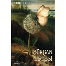 Parlayan Kitap Erdi Erden Kitapları 3'lü Set