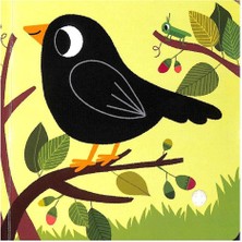 LISTEN TO THE BIRDS