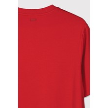 Premium Relaxed  Basic Tshirt