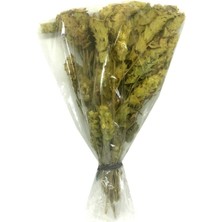 Astera Ada Çayı Yayla Demet