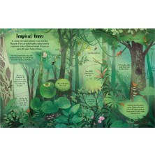 Lift The Flap Trees
