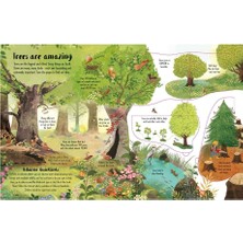 Lift The Flap Trees