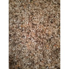 Gold Mind 1kg Güvercin Yemi (1kg)  (15 Karışım )