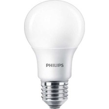 Philips Mycare LED Lamba 8W - 60W E27 Duy 6500K Beyaz Işık (12 Li Paket)