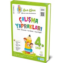 4. Sınıf Akıllı Kalem Çalışma Yaprakları
