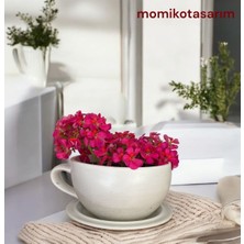 Dekoratif El Yapımı Beton Büyük Fincan Saksı