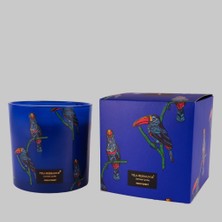 Sarev Toucan Raın Forest Candle 650G Mum Standart