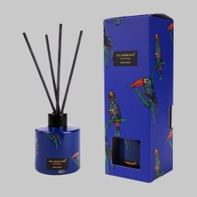 Sarev Toucan Raın Forest Koku, Standart