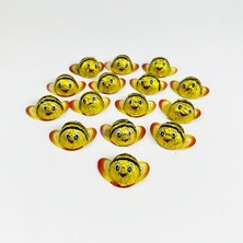 Arı Çikolata(12 adet)