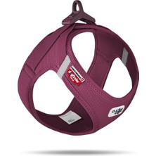 Curli Vest Göğüs Tasması Clasp Air Mesh Ruby