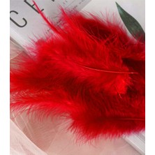 Parti Adresi Tüy 12'li Kırmızı