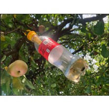 Eşek Arısı Kapanı Aparatı - Pet Şişe Uyumlu Asılabilir Tuzak | Pratik Kullanım