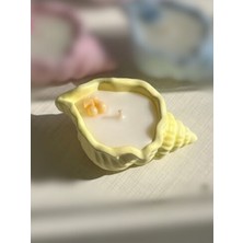 Doğal Taş Deniz Kabuğu Mumluk Içinde Okyanus Temalı Doğal Soya Mumlar