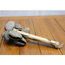 Coconat Sarkaçli Marakas Dıarta:2