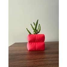 Kapitone Desenli Renkli Saksı - 6cm x 6cm -Modern Dekoratif Saksı (Bitkisiz Gönderilir)