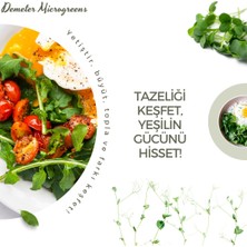 Demeter Microgreens Topraklı Mikro Yeşillik Yetiştirme Tepsisi, Bpa İçermeyen Plastikten
