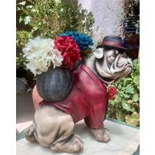 Buldog Saksılı Kopek