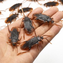 Pshcooe 12 Adet Cadılar Bayramı Simüle Plastik Hamamböcekleri Aldatıcı Sahne Oyuncak Hüner Dekor (Yurt Dışından)